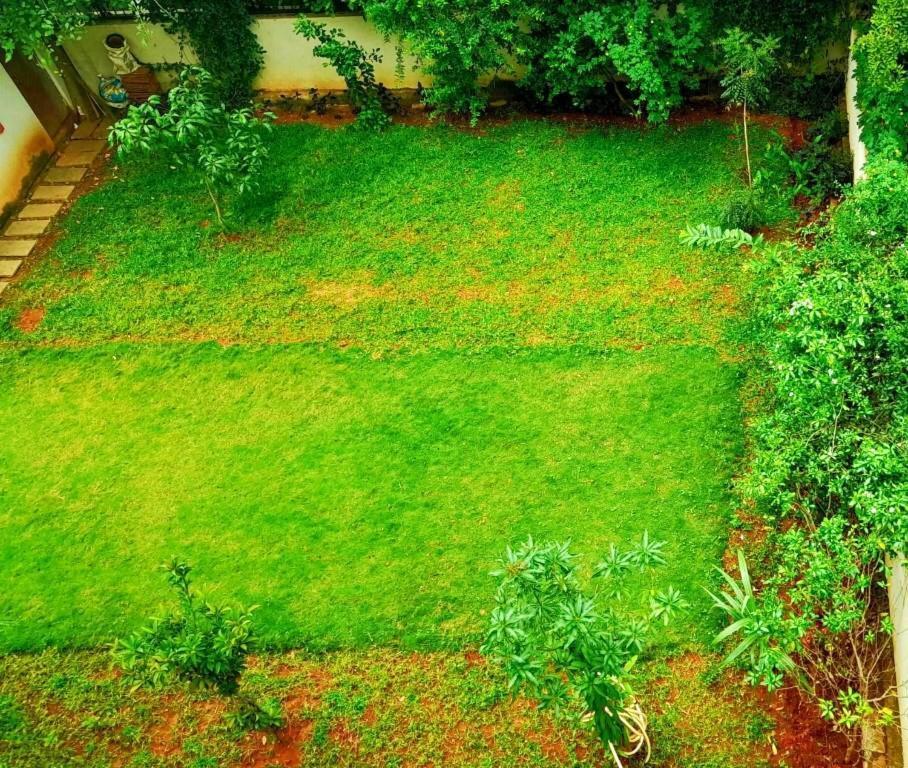 Tulip Villa Bengaluru Kültér fotó
